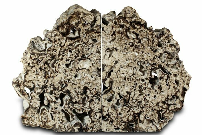 Swirling Polished Chocolate Calcite Bookends - Pakistan #334975